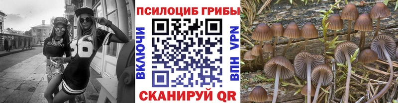 дарнет шоп  Навашино  Псилоцибиновые грибы GOLDEN TEACHER 