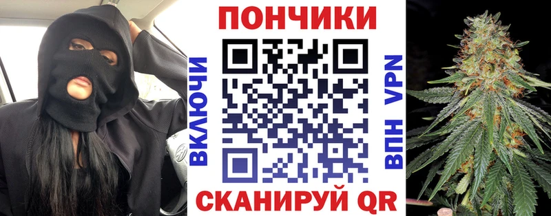 Шишки марихуана семена  цена   Навашино 